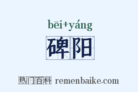 碑阳是什么意思的图片